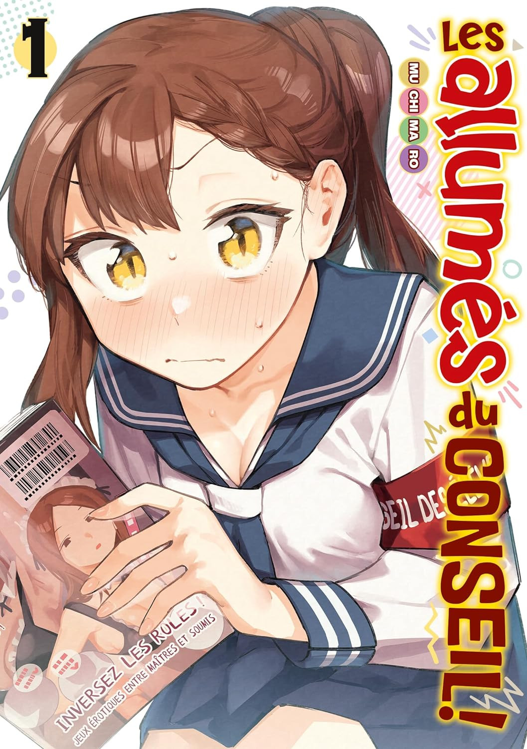 Allumés du conseil (les) Vol.1